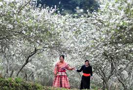 Vietnam Lunar New Year 2016 - Year Of The Monkey