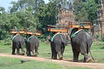 Elephant ride in Angkor Wat, Siem Reap Cambodia
