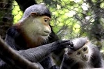 Cuc Phuong National Park, Vietnam