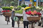 Flower shop in Hanoi, Vietnam