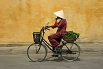 Hoian Old Town, Vietnam