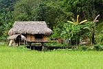 house on stilt in Mai Chau valley