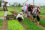 Hoian farming tour