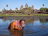 Discover Vietnam & Cambodia