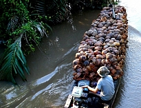 Ben Tre Day Tour