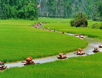 Vietnam Insights