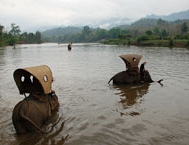 Biking & Elephant ride 