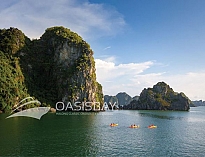 Oasis Bay Cruises