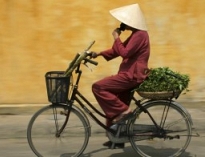 Jasmine Vietnam