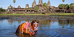 Discover Vietnam & Cambodia