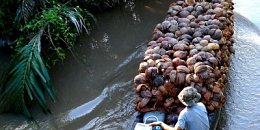 Ben Tre Day Tour