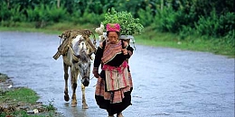 Vietnam Explorer