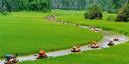 Vietnam Insights
