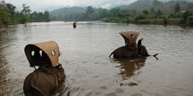 Biking & Elephant ride