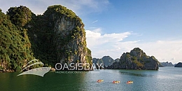 Oasis Bay Cruises