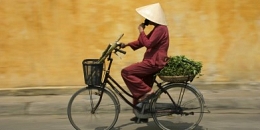 Jasmine Vietnam