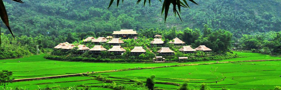 Vietnam's Quintessence 2017